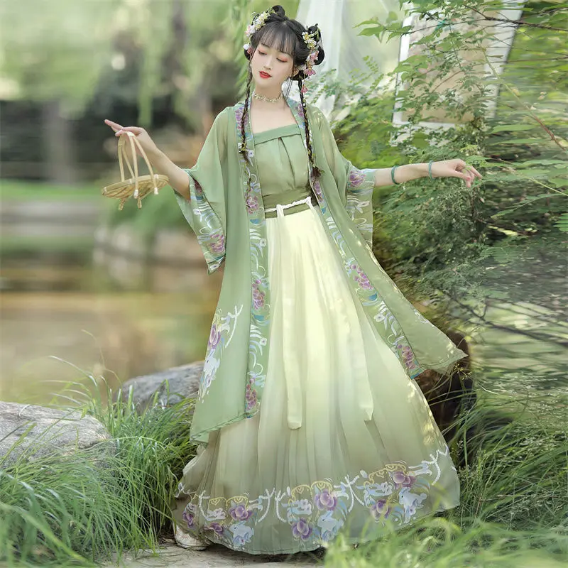 Song Dynasty Floral Print Princess Dress Chinese Style Hanfu Dress Costume 3 Piece Set Ancient Women Elegant Fairy Dance Robe