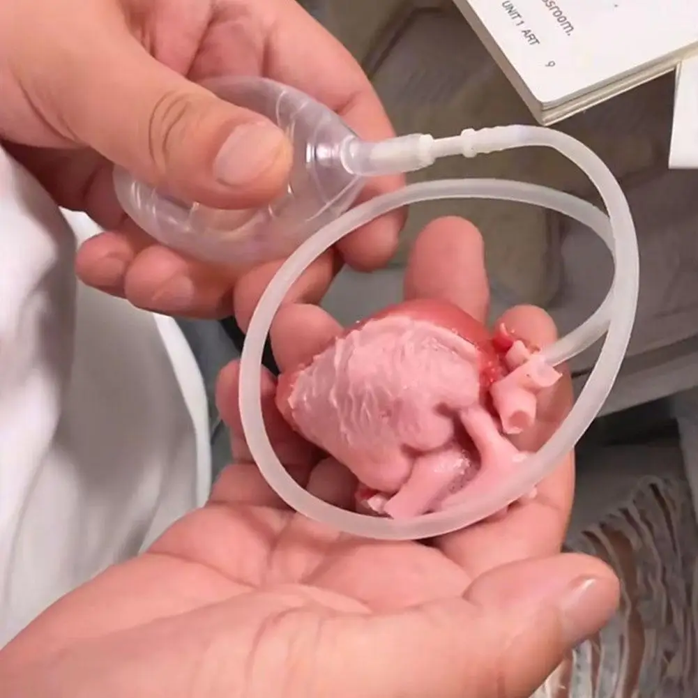 Giocattolo a forma di cuore Fiore cerebrale simulato Giocattolo di scherzo orribile di Halloween Allevia l'ansia Sfiato Stress Giocattolo di organo finto