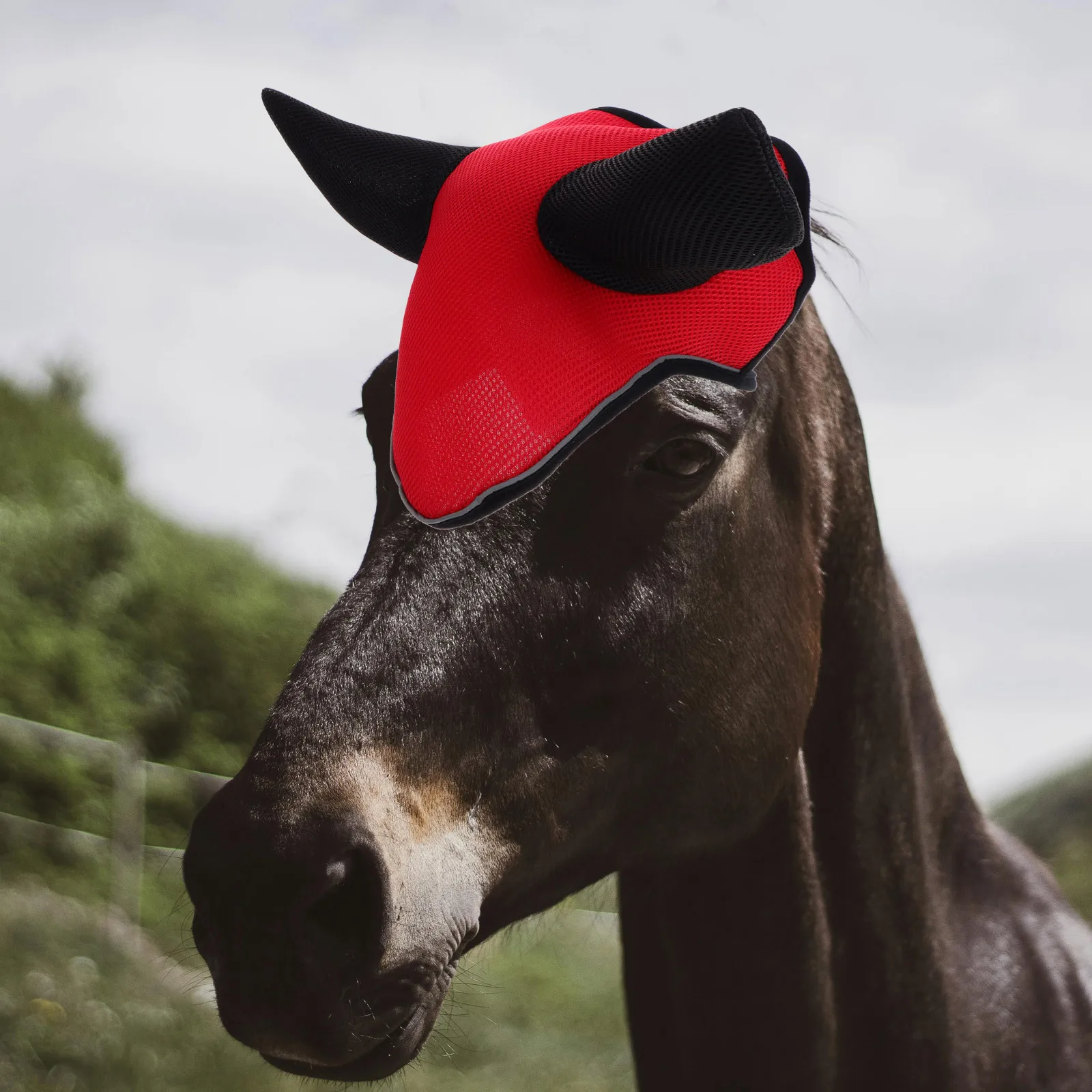 غطاء أذن الحصان قناع الذبابة القابل للتنفس للحماية في الهواء الطلق من نسيج شبكي قوي مريح مناسب لسلالات مختلفة