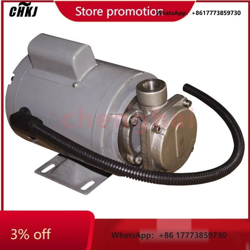 CHKJ-2025NEWステンレス製高温揚げ物用食用油ポンプ