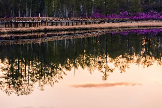 

Rear Axle Cup Counterweight Block Gear Cover for Hyper GO MJX H12Y H12Y+ H12P Metal Upgrade Parts Kit Rc Car Truck Buggy Truggy