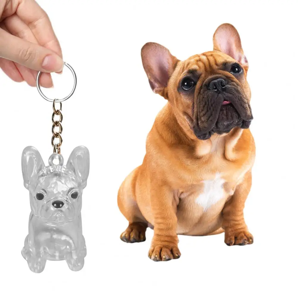 Fashionable Pet Hair Accessory Dog Hair Collector Keychain Charm Transparent Pet Fur Keepsake Capsule Storage Box with for Pet