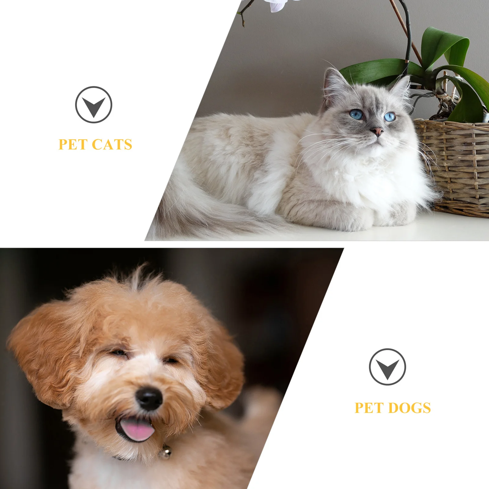 

Waterproof Fabric Pet Collar For Cat Dog Size S M L 2-7Kg Anti-Lick Recovery Accessory Neck Cone Protective Shield Collar