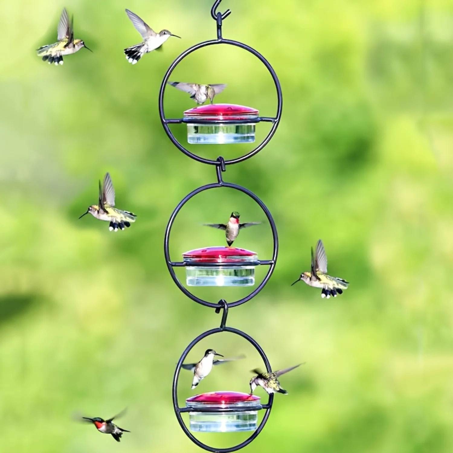 

Hanging Hummingbird Feeder, Outdoor Metal Bird Feeder With Circular Metal Frame And Perches, Suitable For Courtyard Gardens