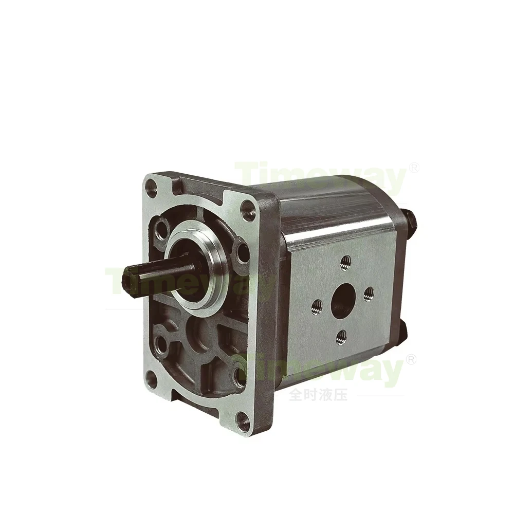 

Гидравлический шестеренчатый насос CBT-F304FHL-FT CBT-F306FHL-FT CBT-F310FHL-FT CBT-F314FHL-FT CBT-F312FHL-FT, масляный насос высокого давления