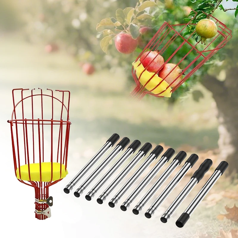 Fruit Picker Cage Shaped Fruit Head Picking Peach Loquat Pear Fruit Tools Removable Fruit Picker for Farm Orchard Gardens Tool