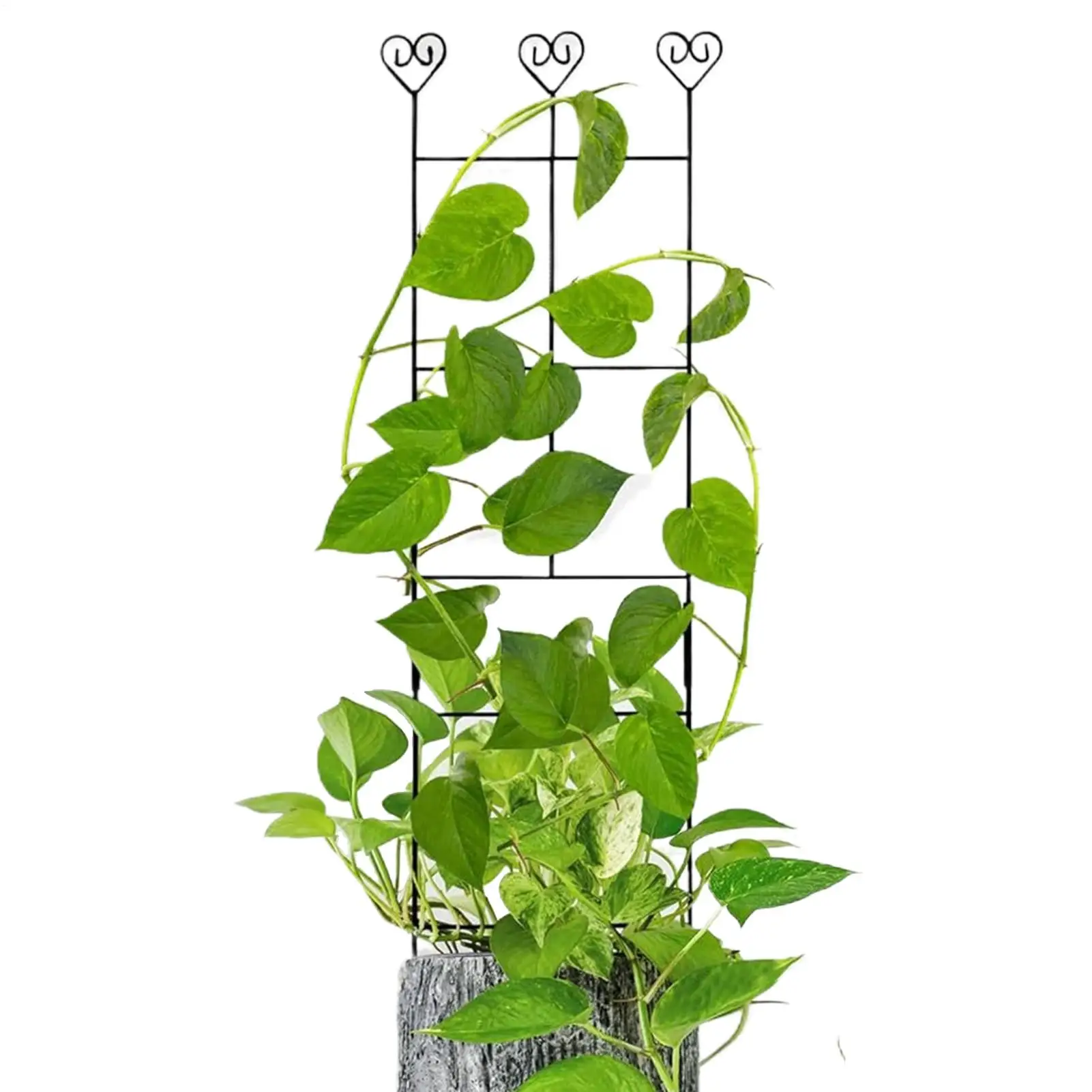 

Садовая решетка, прочная садовая решетка, опора для стебля растений, подставка для колья, стойки для виноградной лозы для комнатных растений, цветов