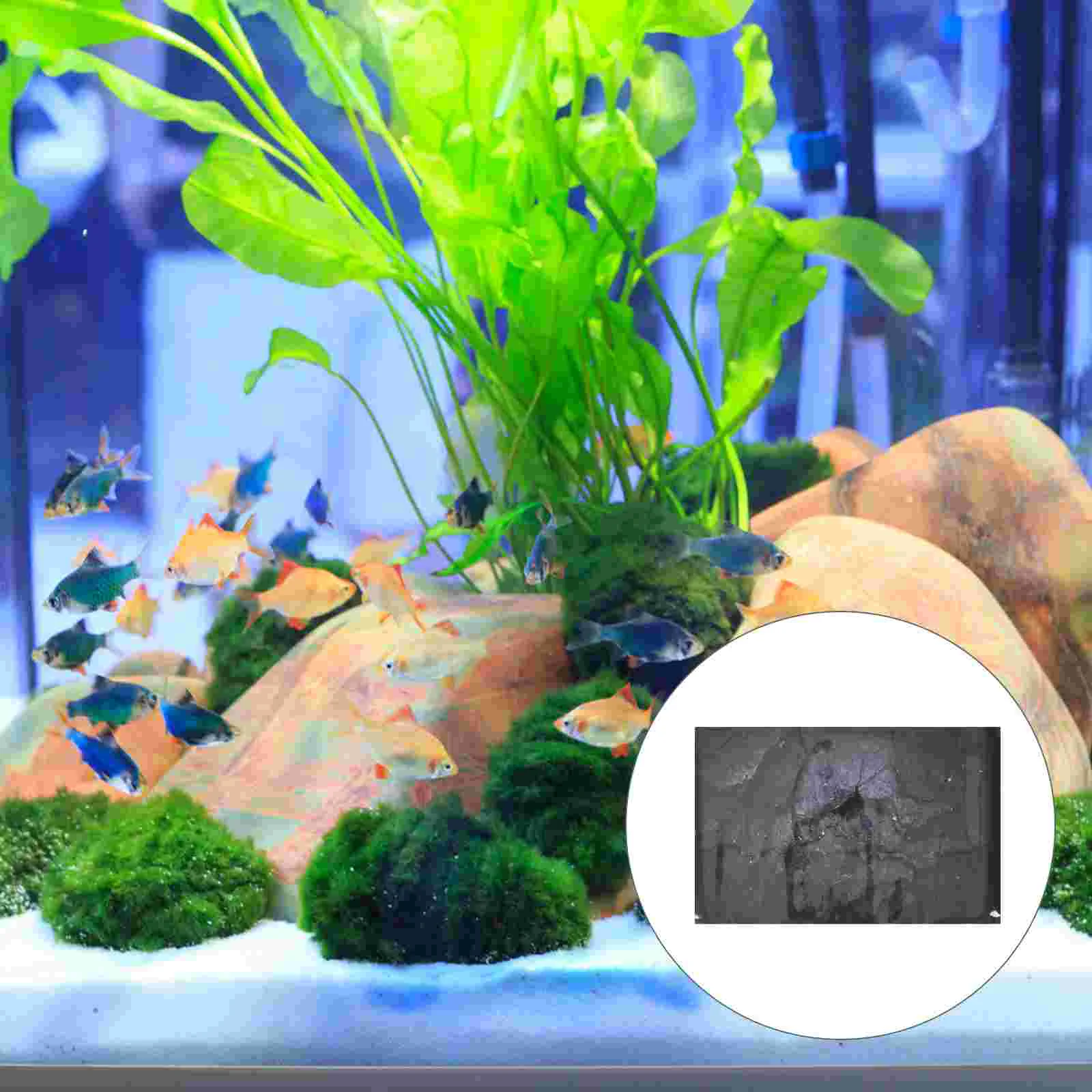 Fish Tank Background Sticker Stickers Decal Picture Aquarium Decor Decorate Backdrop Pvc Landscape Decoration Small