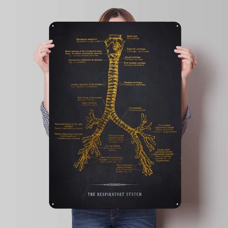 Respiratory System Blueprint Metal Poster Art Mural Retro Metal Tin Sign Plaque for Wall Art Decoration Gamer Room Decoration