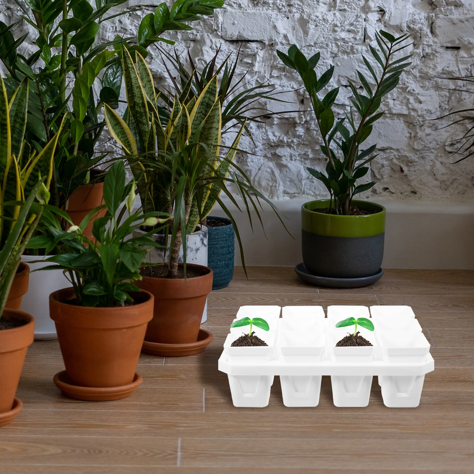 

Seedling Flower Pot Set Plastic Planter Nursery Pots Garden Planting for Plants
