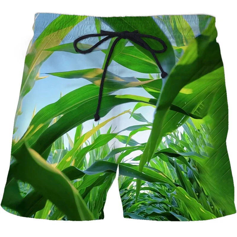 Farm Corn Print Boardshorts für Männer, Humorvolle Grafik, Hip-Hop-Street-Beach-Shorts, Sommer-Outdoor-Sport, Lässige Herren-Kurzhose – Detail 6