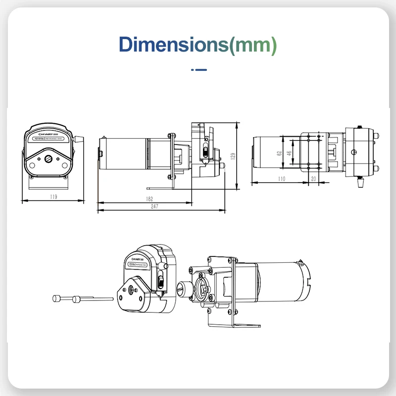 Small Laboratory Chemical Peristaltic Dosing Pump with Customizable DC Motor 12V for Precision Fluid Delivery