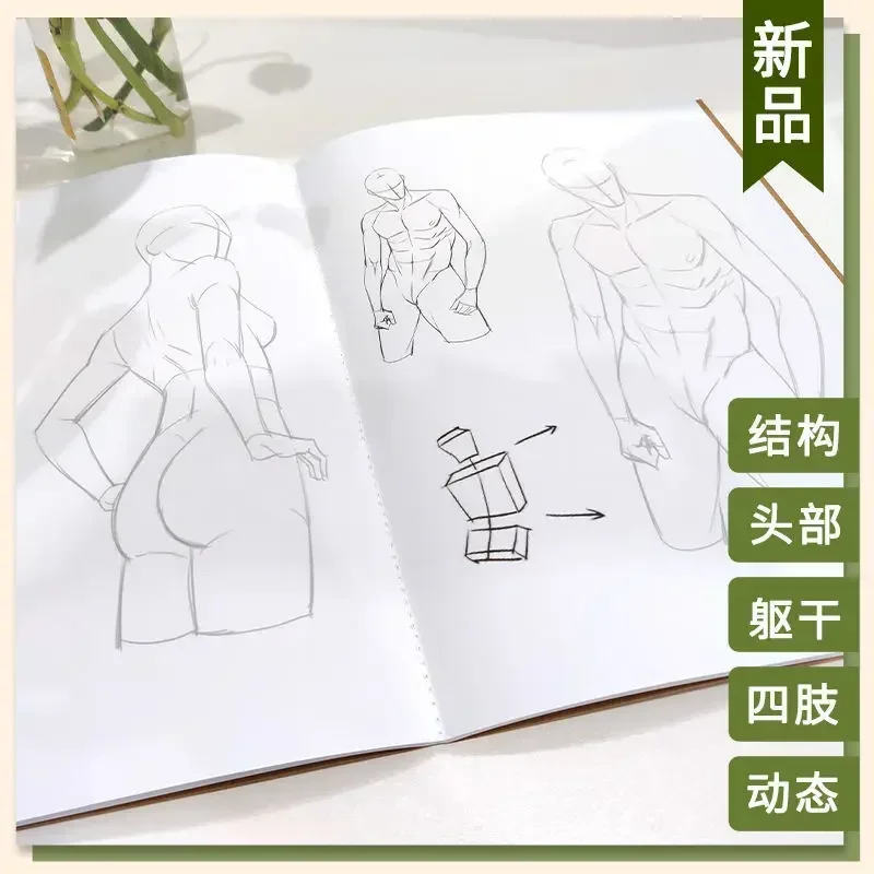 Human body structure dynamic copy 30 days animation exercise book animation tracing sketch sketch hand-painted copy