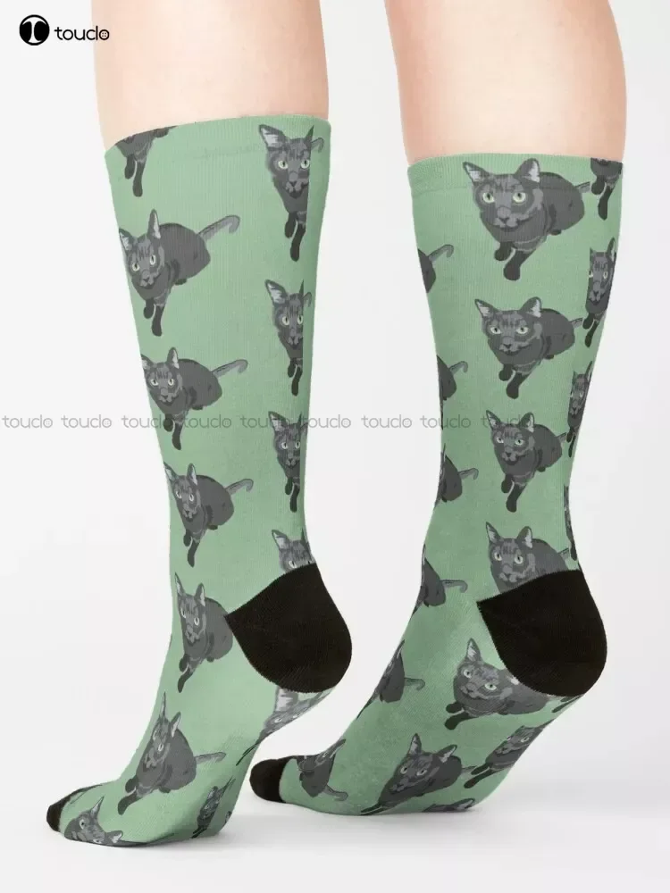 Russian Blue Cat Socks Personalized Custom Unisex Adult Teen Youth Socks 360° Digital Print Custom Gift Streetwear