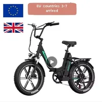 KOOLUX KL6S 25km/h Electric Bike for Food Delivery Electric Bicycle 20*4.0inch Fat Tire Cargo E-bike