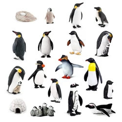 Figuras de pingüino de ciclo de crecimiento de plástico realista, variedades de pingüinos, figuras de animales del Ártico Polar, huevos de Pascua, adornos para pasteles, regalo