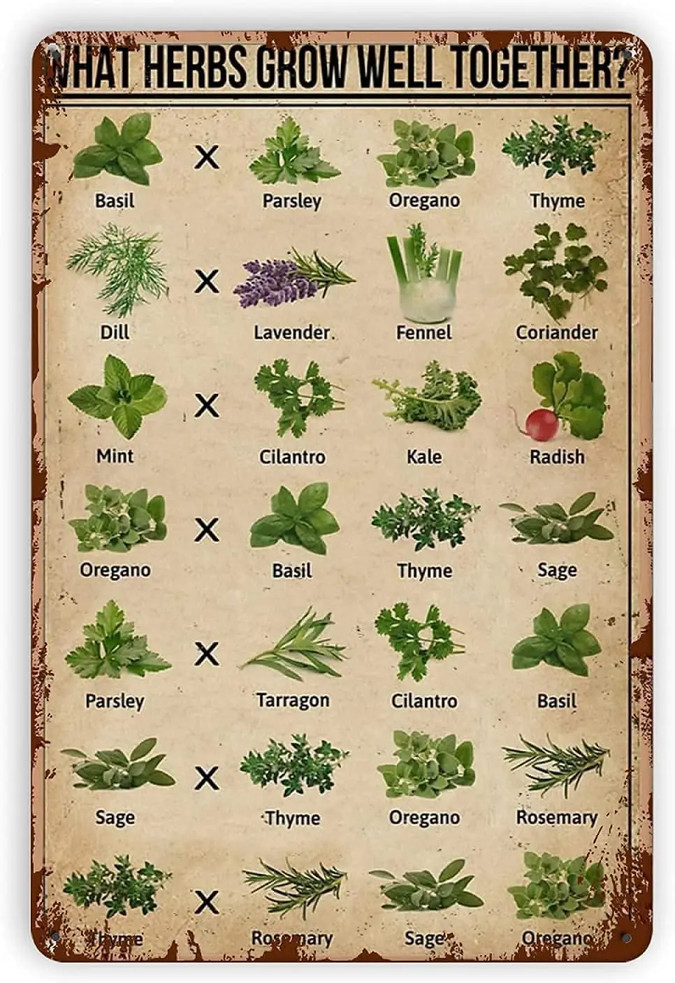 Herbs Grow Wall Art Canvas Unframed What Herbs Grow Well Together Modern Print Posters Vintage Canvas Paintings Wall Decor  sign