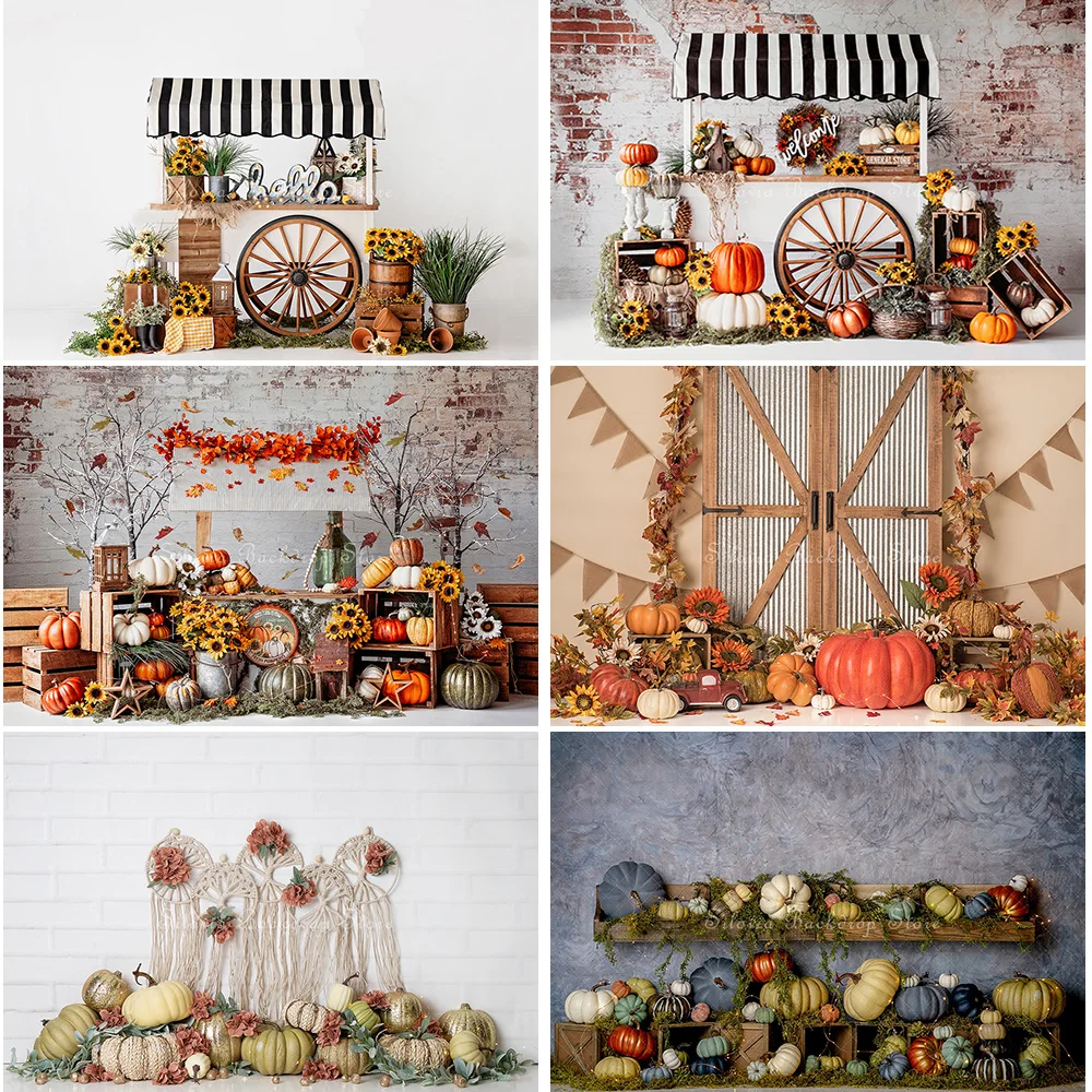 

Bountiful Autumn Harvest Photo Background Fall Thanksgiving Photo Studio Props Pumpkin Sunflower Cake Smash Photography Backdrop