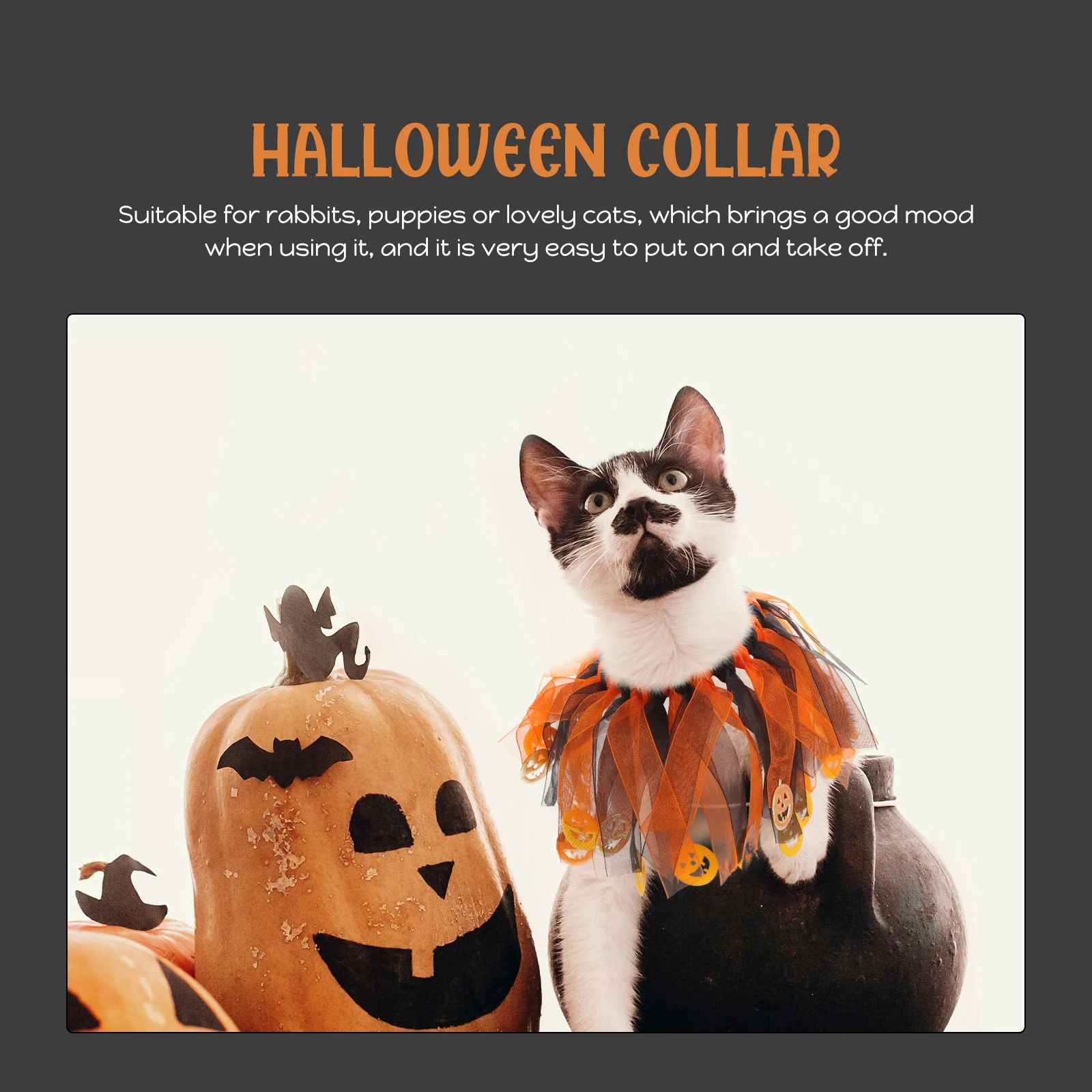 

Cat Collars Costume Accessories Halloween Pet Decoration Decorations Cute Kitten