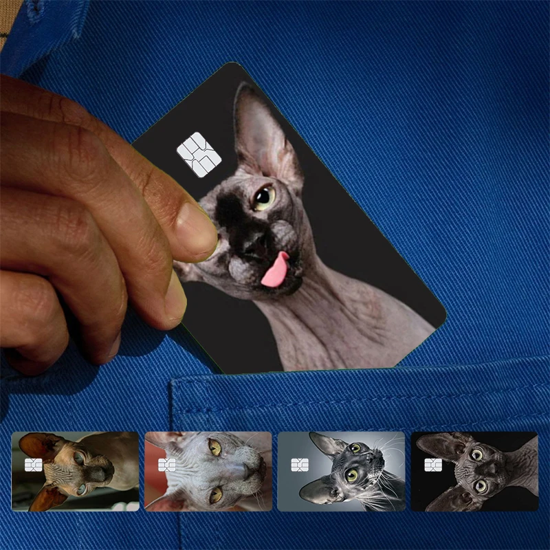 Sphynx Sphinx Cat Cover Skin Sticker For Credit Card Bank Debit Bus Card Front Side