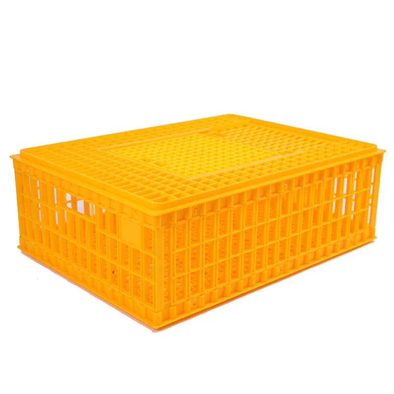 

Hot Sale Factory Direct Large Foldable Plastic Chicken Cage Transportation Crate