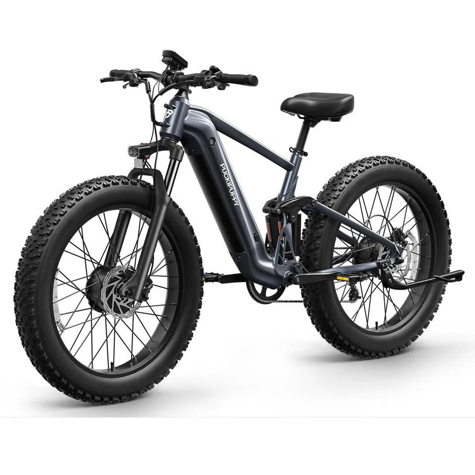 Dual Motor Electric Bike1600W 48V 20AH Full Suspension Mountain EBike