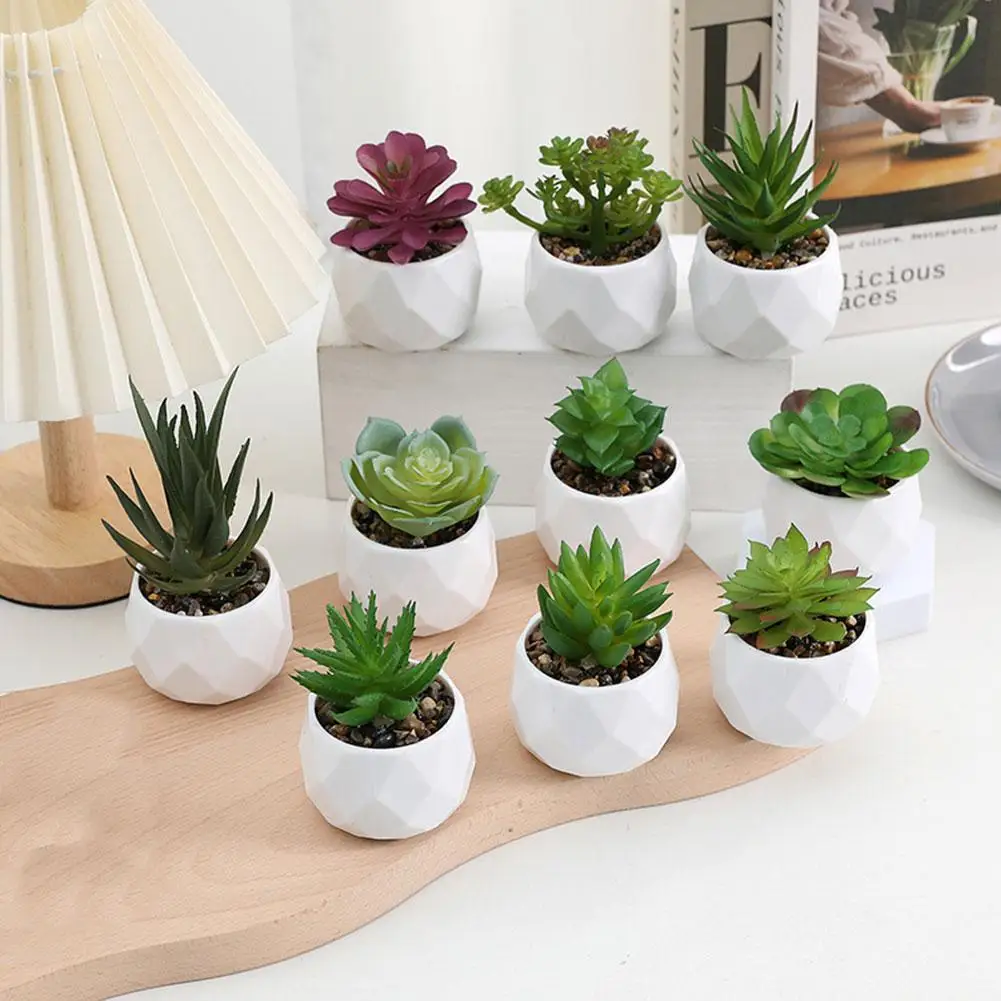 Artificial Succulent Potted Plant Simulation Mini Evergreen Potted Plant Cactus Succulent Plastic Fake Plant Home Decoration