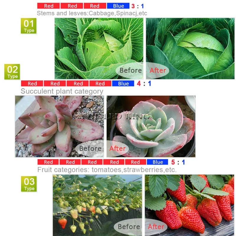 Tira de led para cultivo em estufas, 5m, espectro completo, lâmpadas uv, à prova d'água, para cultivo em estufa, hidropônica