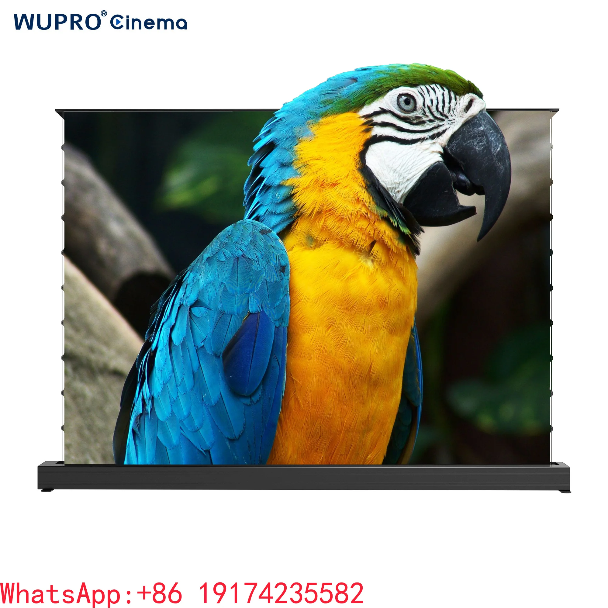 Wupro 100 inch LeApex Automatic Roll Up Projection Screens 16:9 PVC Gray Crystal Motorized Floor Rising Screen