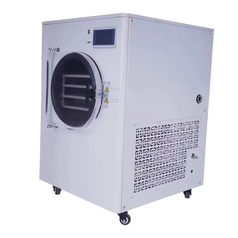 Global Factory Price Vacuum Dryer, Right-Side For Harvesting, Food Freeze Dryer