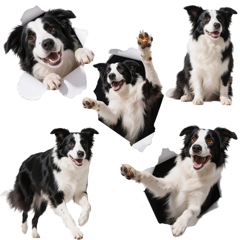 Three Ratels CC149 Funny border collie wall stickers for home decoration car hood stickers