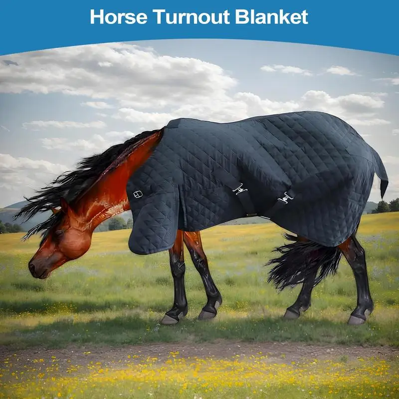 

Pet Horse Protective Clothes Protective Clothes For Horse Soft Touch Equestrian Gear Breathable For Spring Hot Weather Autumn