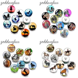 Animals Running Horse zebra Rodeo Cowboy 10pcs mix Round photo 12mm/18mm snap buttons for 12mm/18mm snap buttons DIY findings
