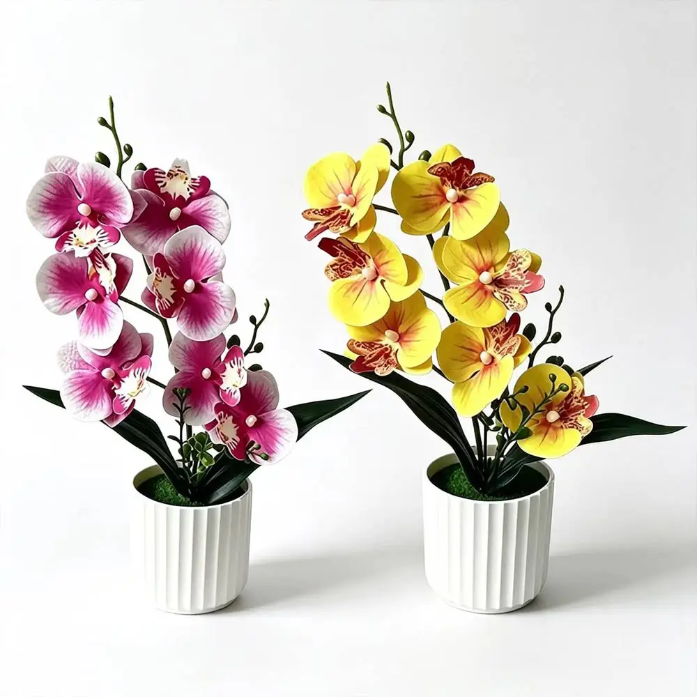 Butterfly Orchid 7-Flower Vertical Bar Small Pottery Indoor and Outdoor Courtyard Balcony Decoration Bonsai Ornament