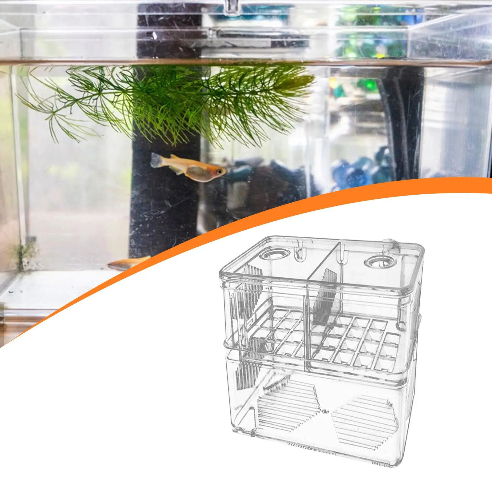 Scatola per allevamento di pesci d'acquario Scatola trasparente per isolamento di pesci per pesci pagliaccio Betta Guppy