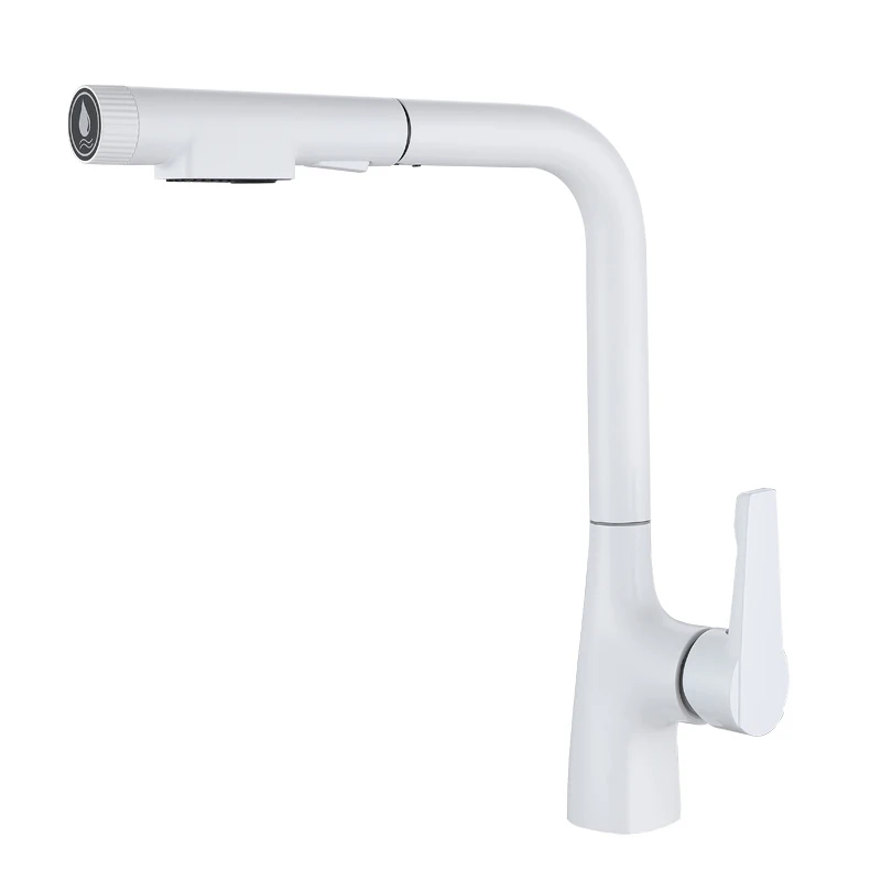 

Kitchen faucet Pull-out three-in-one double open faucet