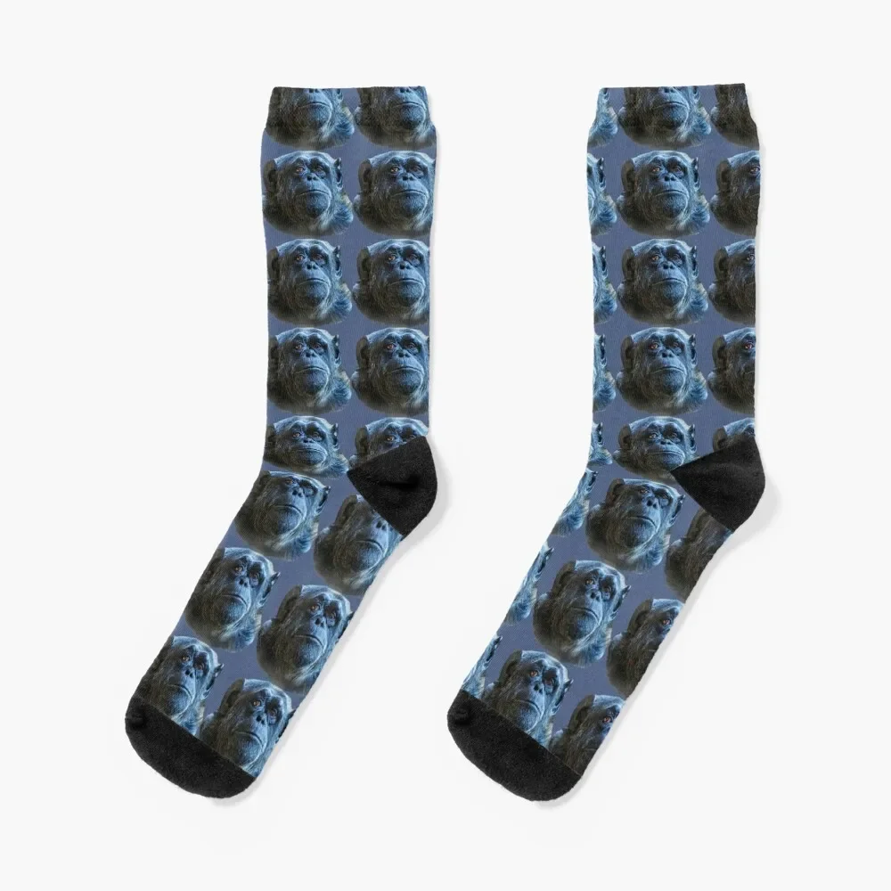 

Deep in thought Chimpanzee Socks designer christmas gift Men Socks Luxury Brand Women's