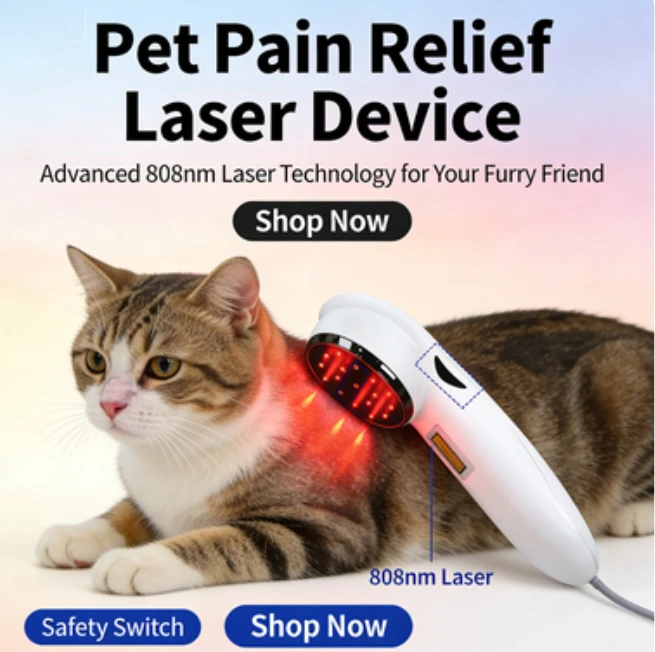 

Лазерный терапевтический аппарат COZING 3x808нм для физиотерапии и снятия боли в теле