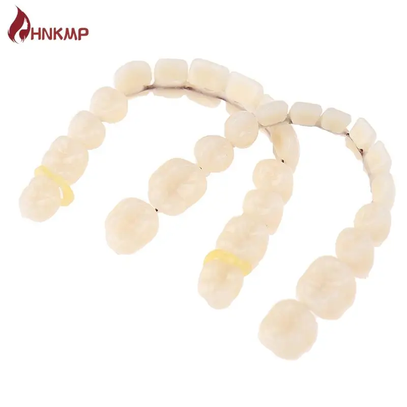 1PC Universal Resi False Teeth Resin Model Durable Dentures Dental Material Teeth Teaching Model Dedicated Teeth