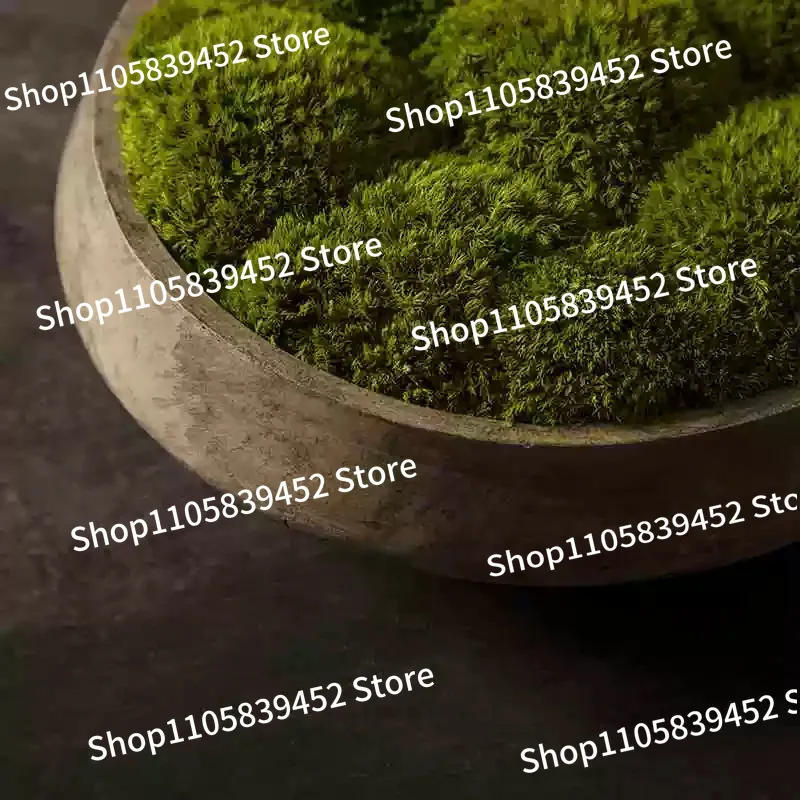 For Tray Fruit Plate Log Wind New Chinese Style Green Plant Flower Ornament Immortal Moss Creative