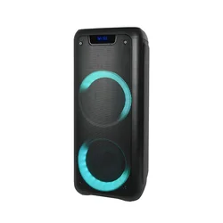 Temeisheng TMS-605 Dual 6.5 inch woofer radio portable bluetooth wireless party speaker with led lights