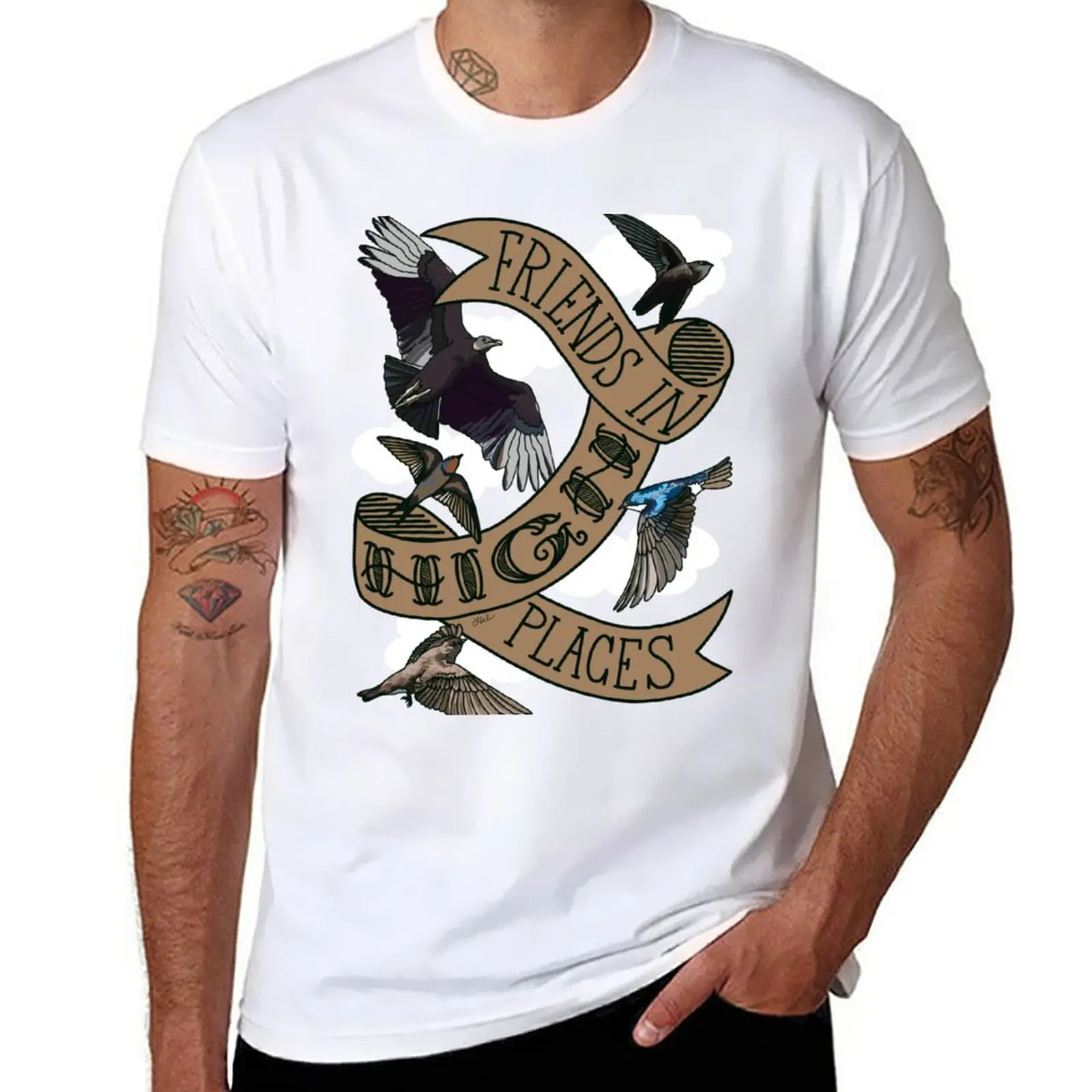 

New Friends in High Places (Vulture, Swift, and Swallows) T-Shirt t shirt man Short t-shirt mens tall t shirts