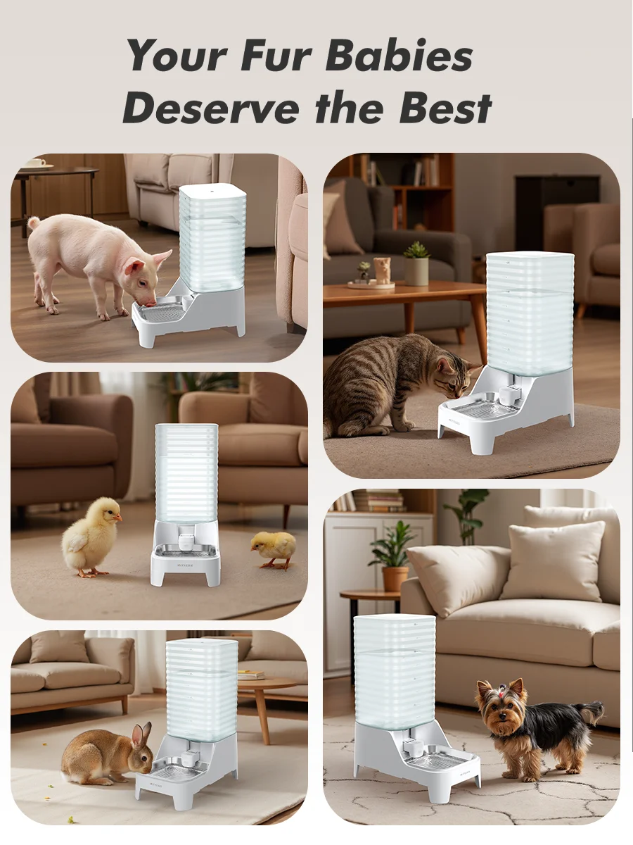 Thumbnail 3 - #8 Puppy Water Fountains Comparison Guide