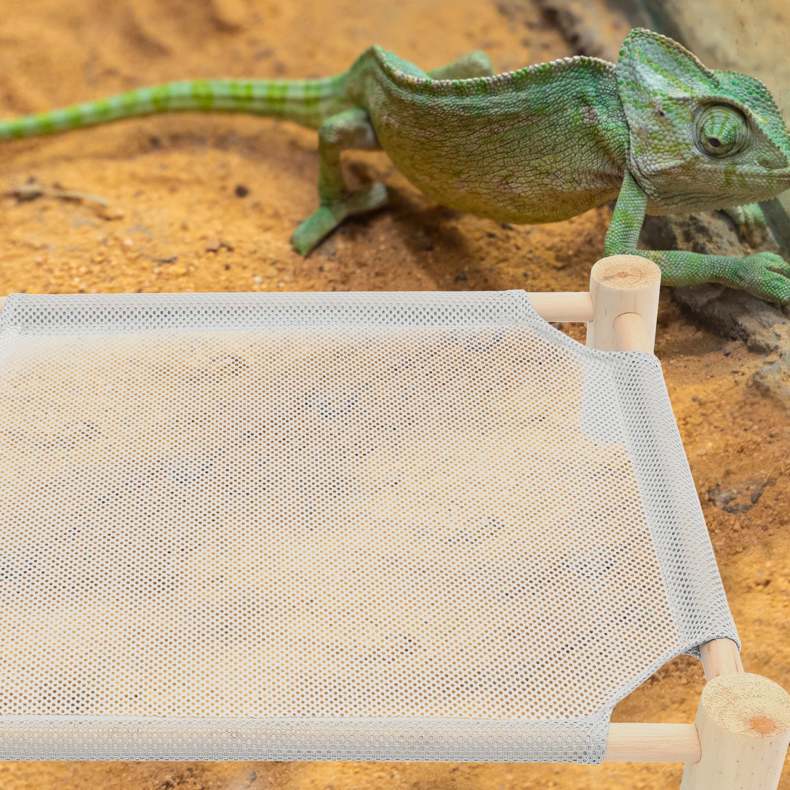 

1 set 1 Set Reptile Bed Elevated Wooden Rack Lizard Sleeping Hammock For Lizards Snakes Iguanas Durable Natural Wood Base Easy