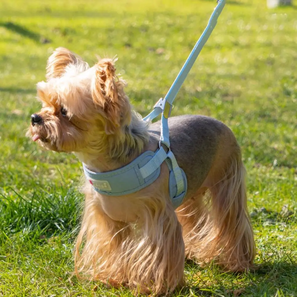

Practical Adjustable Dog Harness Vest Comfortable Prevent Breaking Free Dog Leash Breathable Dog Walking Rope for Puppy Dogs