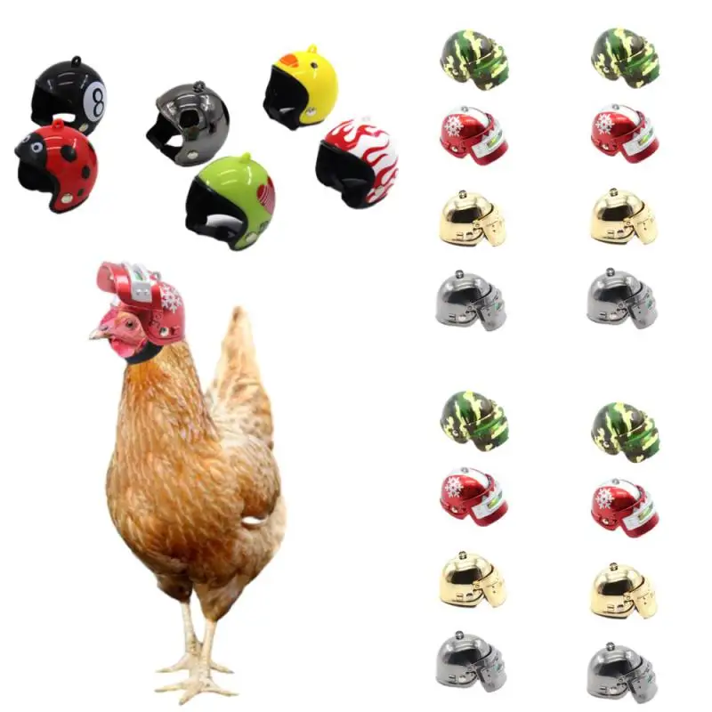 Pet Supplies Chicken Helmet Bird Protect Cap Small Pet Hard Hat Birds Quail Pigeon Hat Headgear Protective Gear