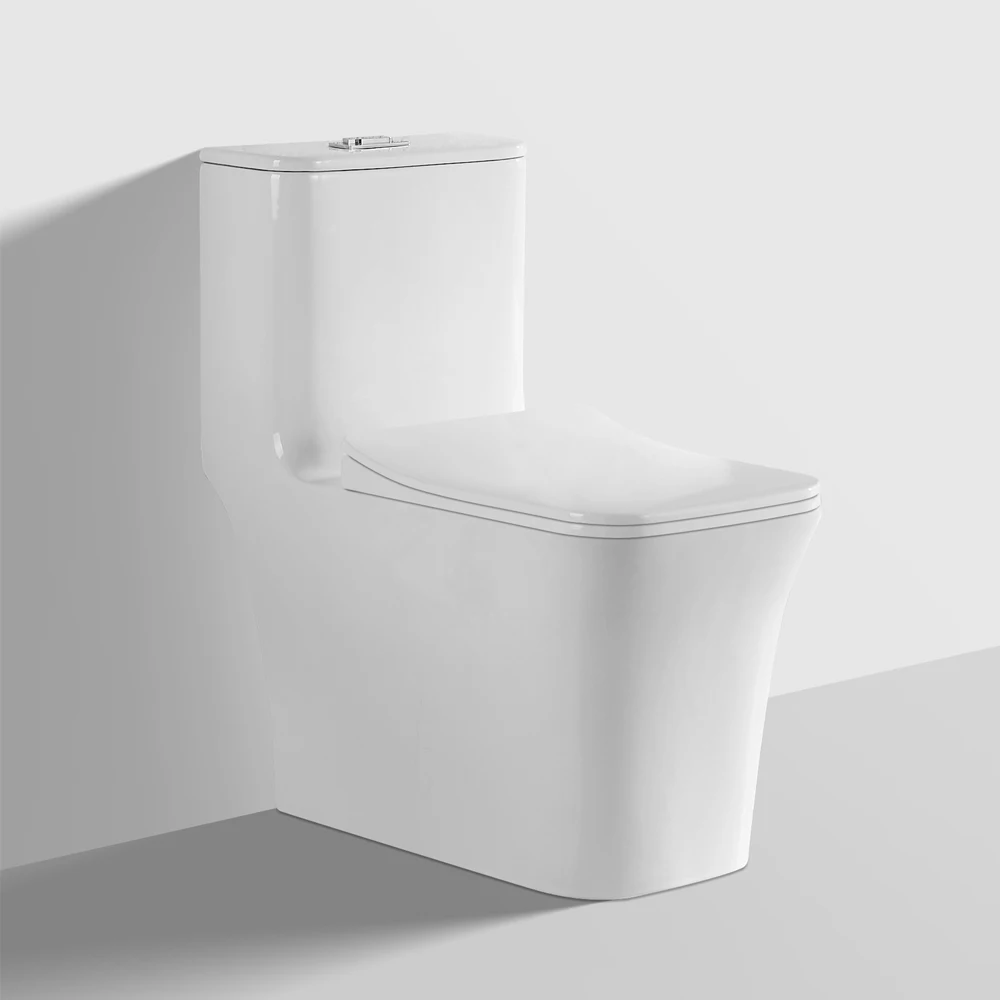 2026 Modern Ceramic Dual-Flush Washdown and Siphonic One-Piece Toilet with S-Trap Drainagepromote sales