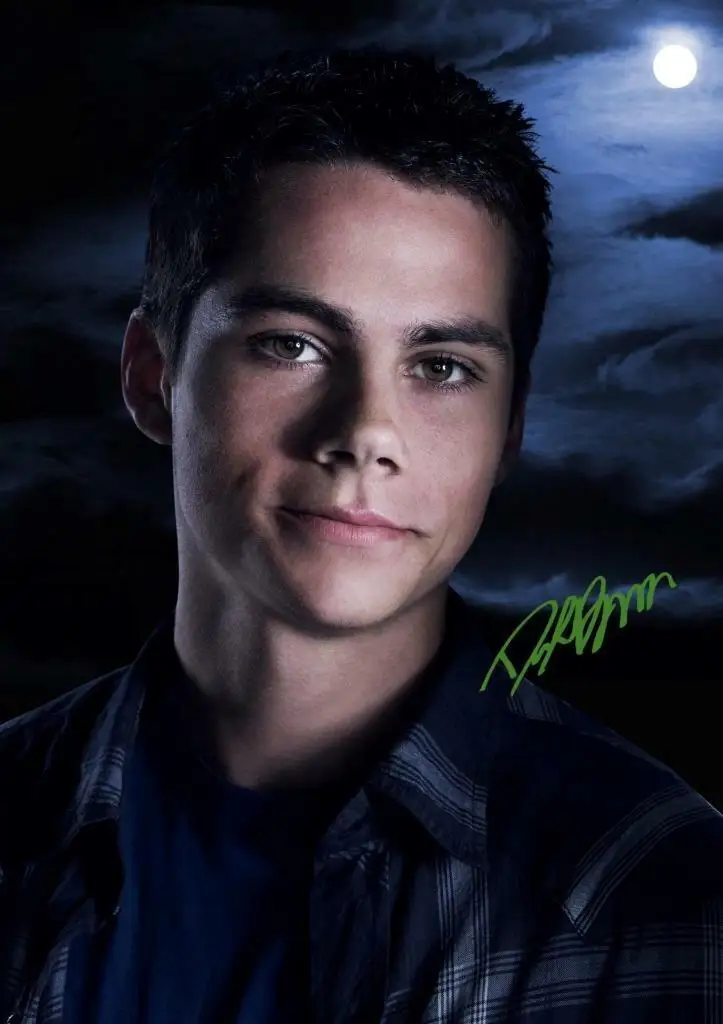 

TEEN WOLF SIGNED Movie, Art Picture Print Silk Poster, Living Room Decor Home Wall
