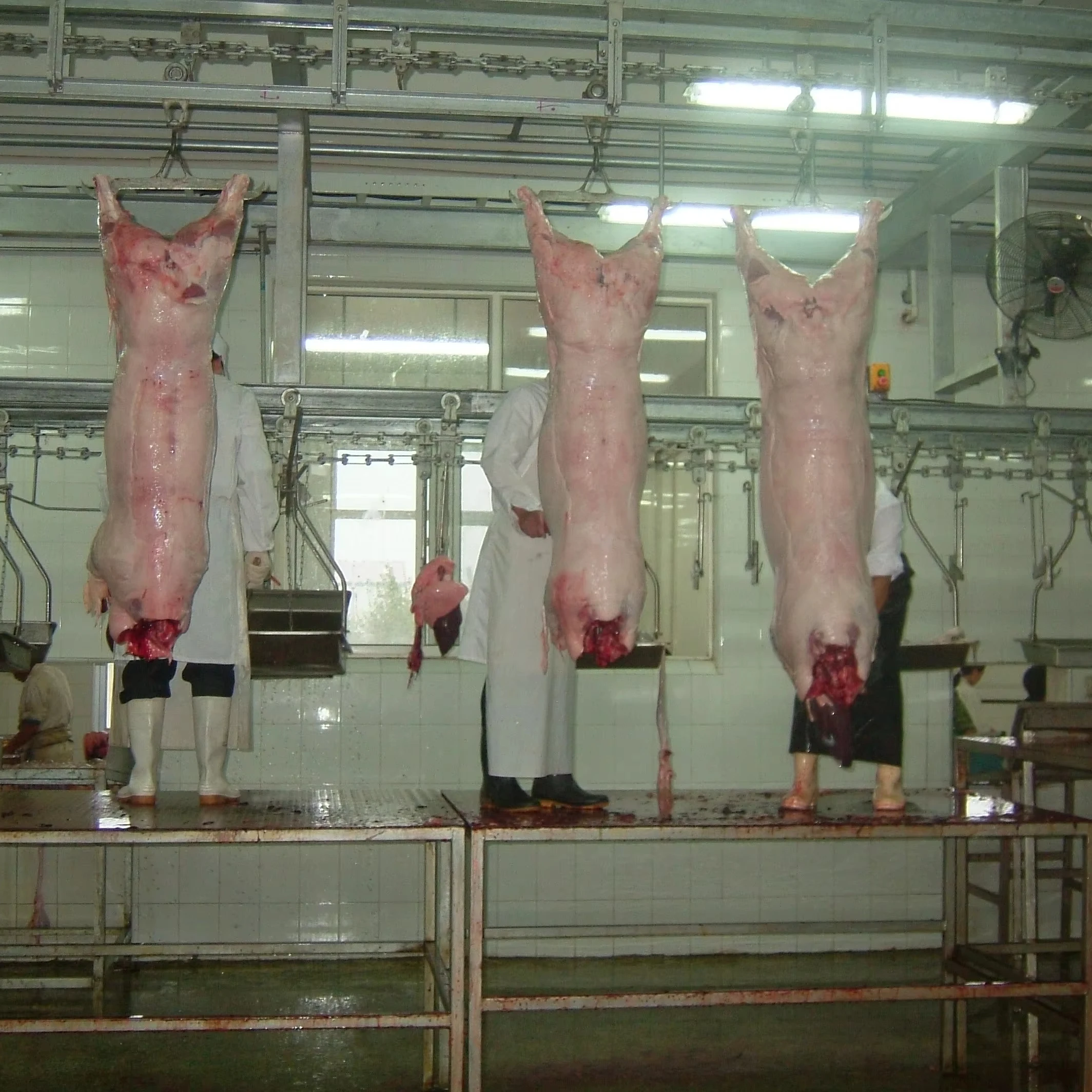 Caja de Cambios de Acero para Matadero, Línea de Producción de Mataderos, Equipo para Granjas Porcinas, Motor de Caja de Cambios para Carnicería