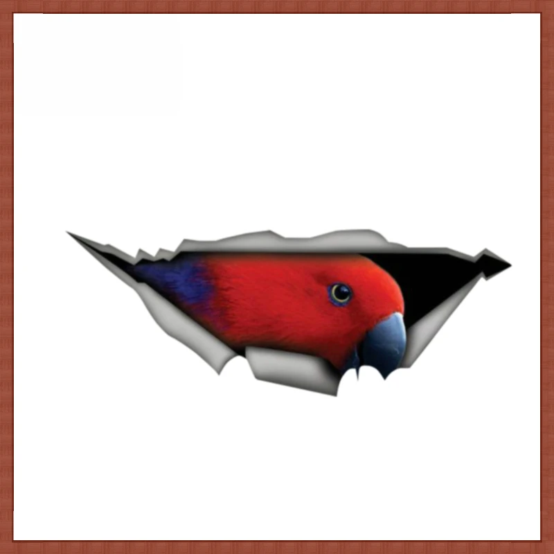 

Наклейка на автомобиль, Красный Попугай, 13 см * 4 см